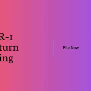 ITR-1 Return Filing
