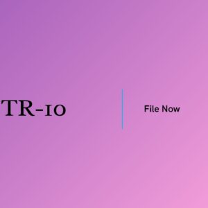 GSTR-10