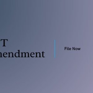 GST Amendment