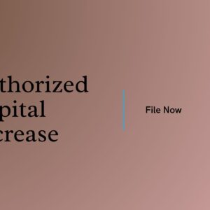 Authorized Capital Increase