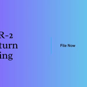 ITR-2 Return Filing