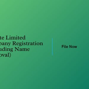 Private Limited Company Registration (Including Name Approval)
