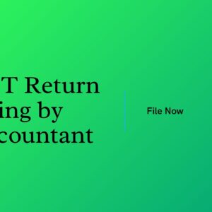 GST Return Filing by Accountant