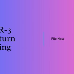 ITR-3 Return Filing