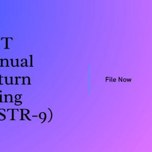 GST Annual Return Filing (GSTR-9)