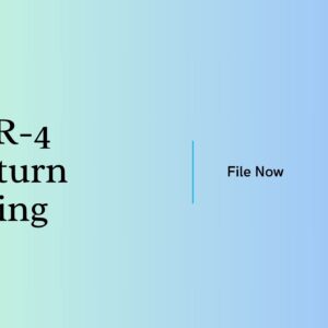 ITR-4 Return Filing