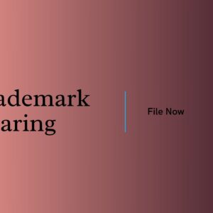 Trademark Hearing