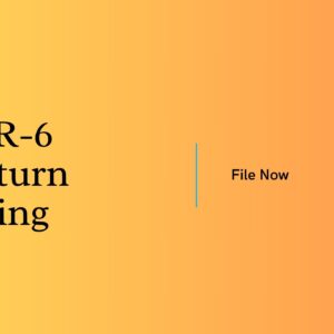 ITR-6 Return Filing
