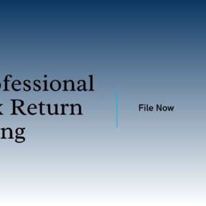 Professional Tax Return Filing