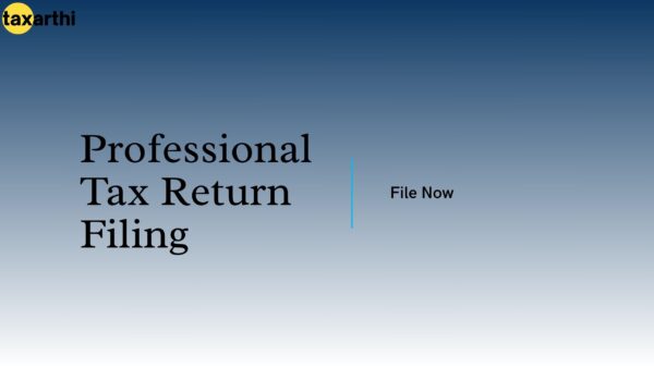 Professional Tax Return Filing