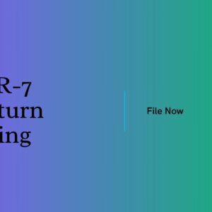 ITR-7 Return Filing