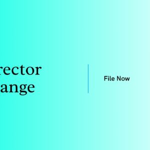 Director Change